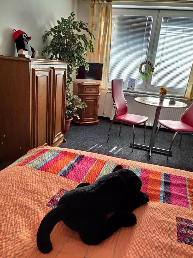 Penzion u Krtka Kraslice Esterno foto