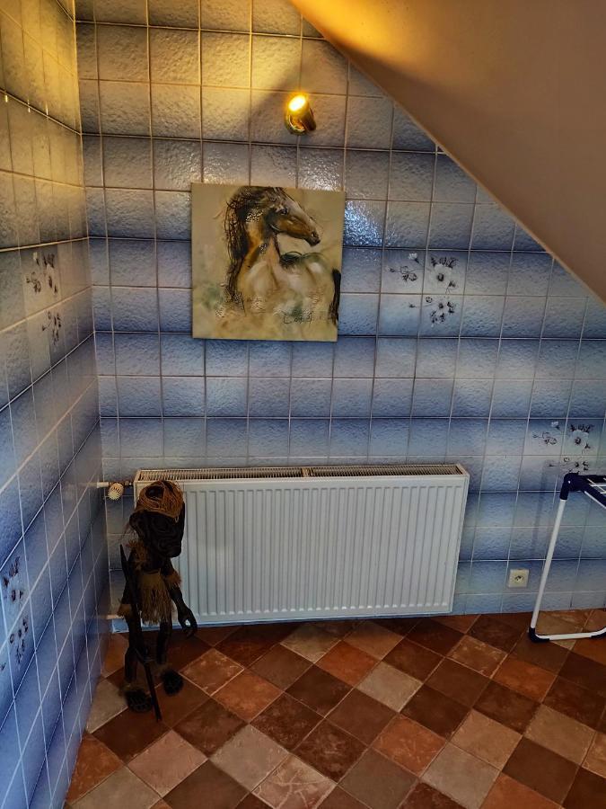 Penzion u Krtka Kraslice Esterno foto